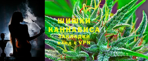 ГАЛЛЮЦИНОГЕННЫЕ ГРИБЫ Арсеньев